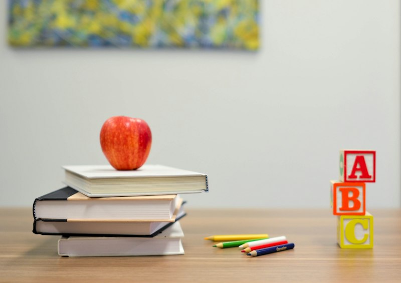 Educație dicționar englez român
